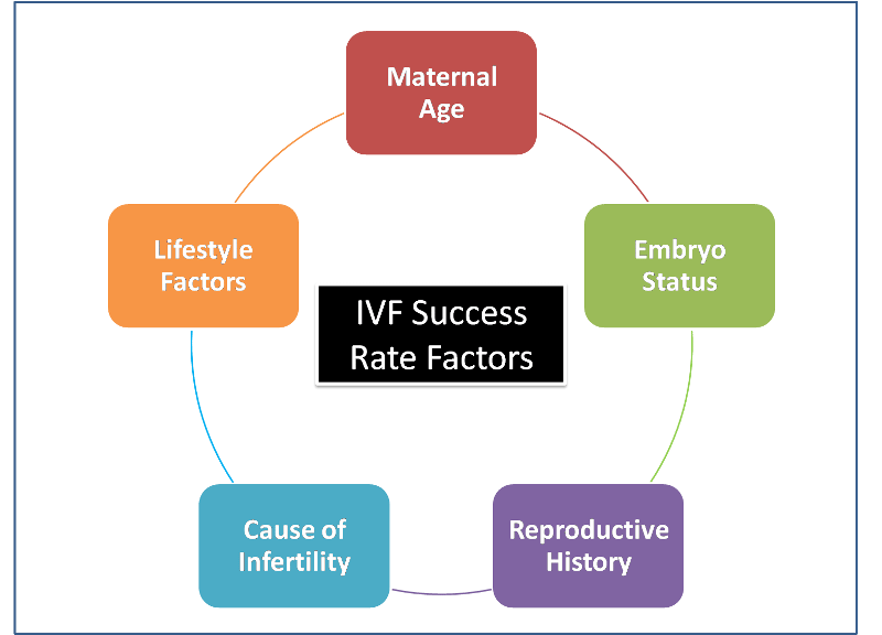 IVF Success Rate, IVF Factors