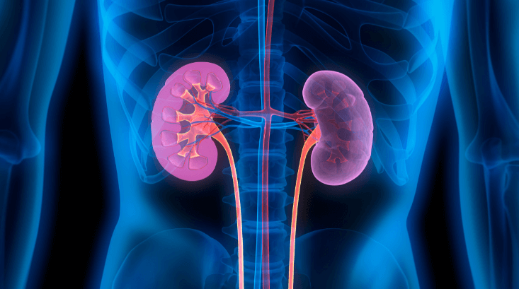 kidney diagnosis treatment