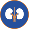 Nephrology icon