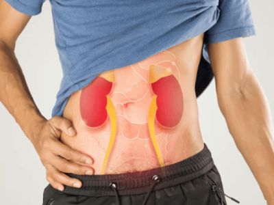 Chronic Kidney Profile