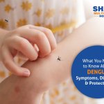 What You Need to Know About Dengue — Symptoms, Diagnosis and Protection