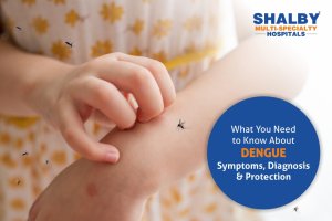 What You Need to Know About Dengue — Symptoms, Diagnosis & Protection